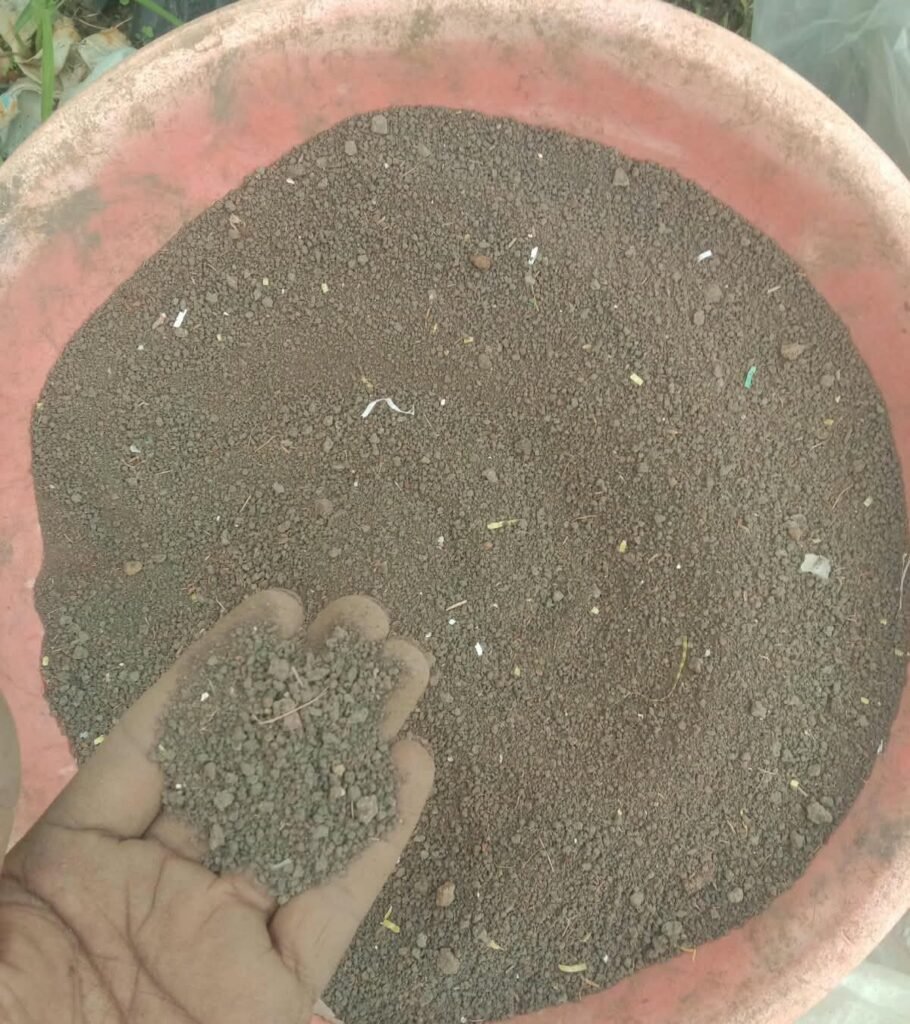 pansy के लिए बारीक मिट्टी 
